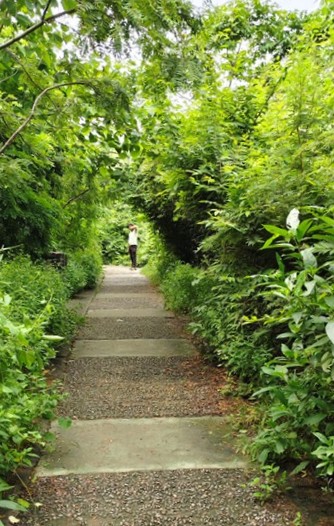 blog post featured image of a person at a distance framed amongst trees and a pathway